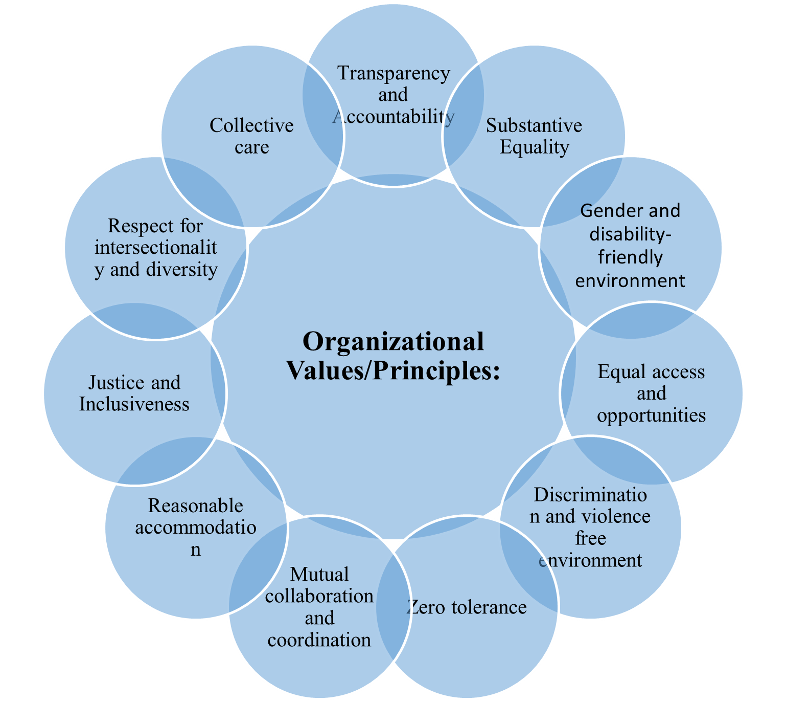 Organizational Values/Principles